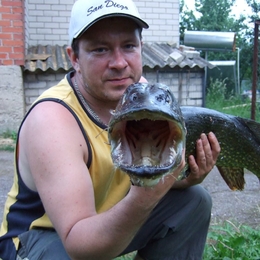 Fisherman tojis