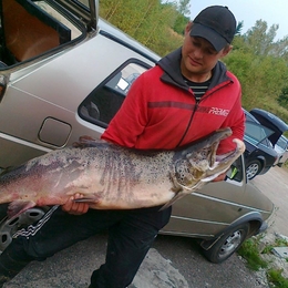 Fisherman zvejys233