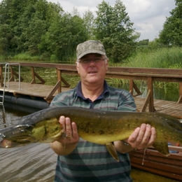 Fisherman spiningauju